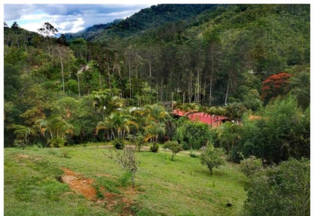 Navarro Mountain Cartago Kültér fotó